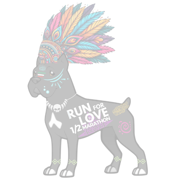 Run for Love 2024